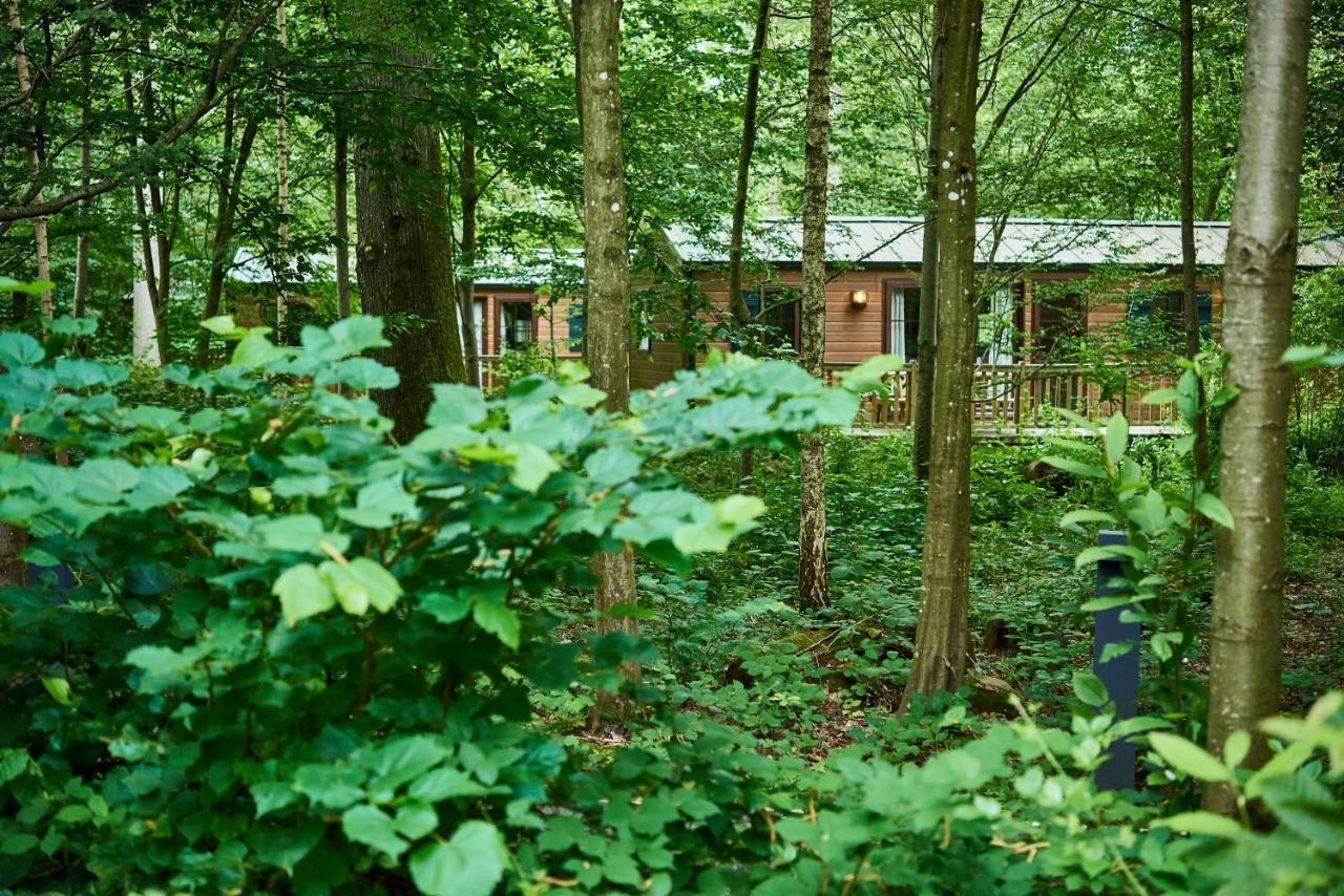 Aparthotel Davy Crockett Ranch Villeneuve-le-Comte